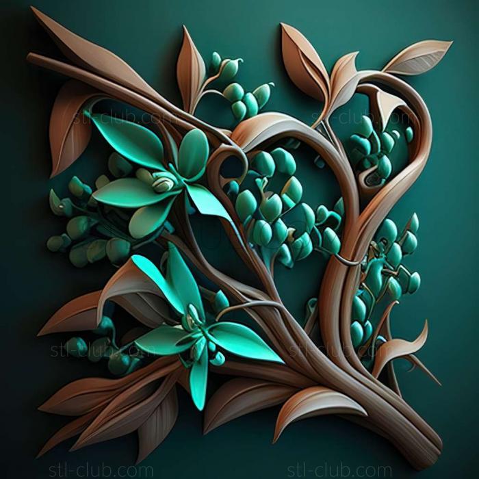 jade vine